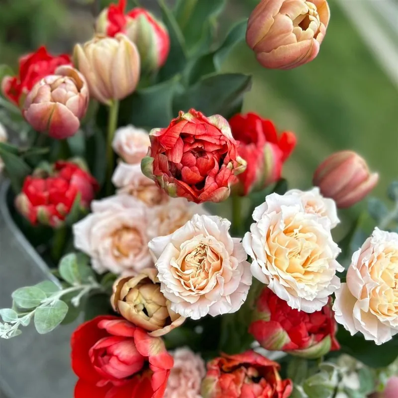 Spring tulip arrangement by Vintage Blooms, Kansas City